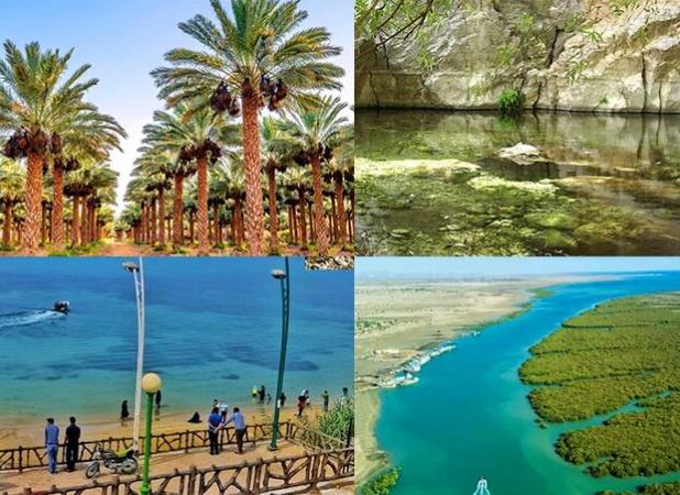 بوشهر گنج پنهان خلیج فارس در مسیر توسعه گردشگری