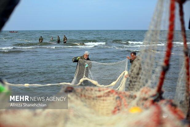 دادرس: شرایط دریای خزر برای فعالیت‌ های دریایی موقتاً نامناسب است