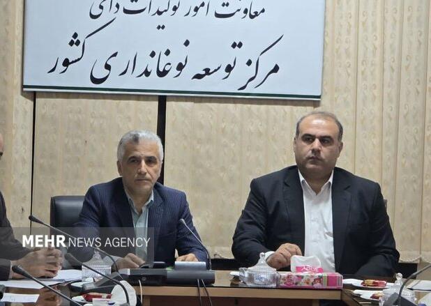 رضادوست: تولید ابریشم گیلان کاهش یافته است