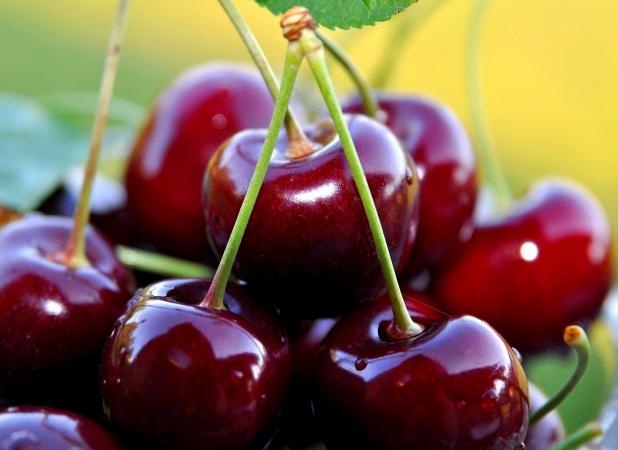 تولید سالانه یک میلیون تُن محصولات باغی در خراسان رضوی