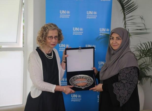 معاون رئیس‌جمهور با دبیر اجرایی برنامه محیط‌زیست ملل‌متحد دیدار کرد