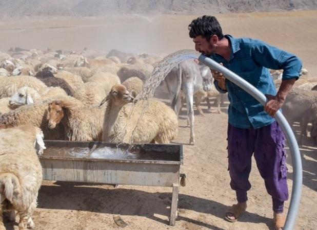 پیرجاهد:فاز اول طرح ساماندهی چشمه «یوسف‌خان کندی» مشگین انجام شد