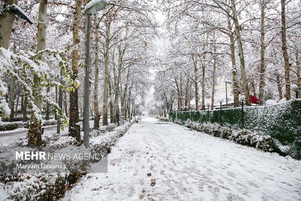 رحمان نیان: بارش برف استان زنجان را فرا می گیرد