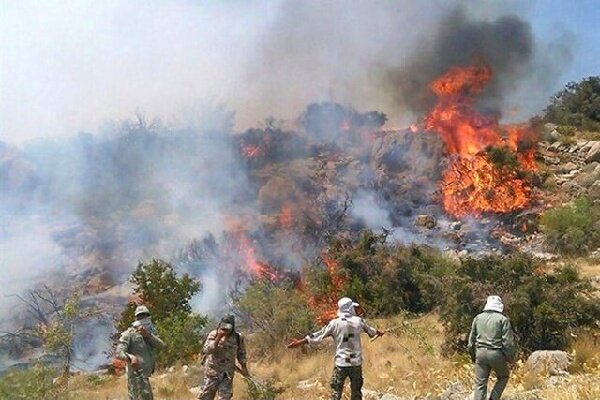 جایگاه زباله علت آتش سوزی باشت؛اینجا درختان بلوط ایستاده جان می دهند