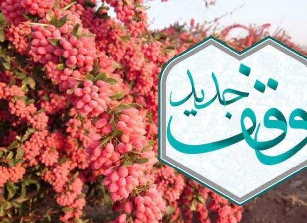 ثبت ۵ وقف ۱۷۳ میلیارد ریالی در قاینات طی ایام فاطمیه