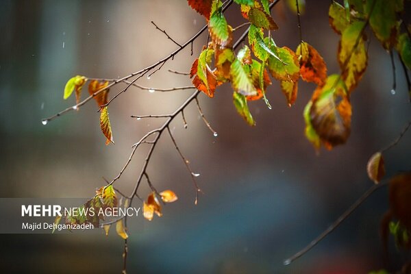 احمدی نژاد: سامانه بارشی با هسته سرد وارد ایلام شد