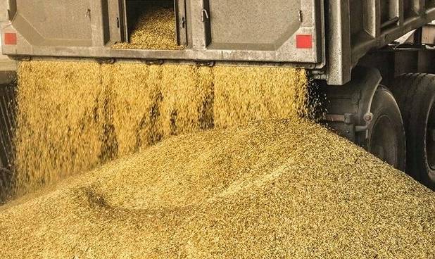 ضرورت حل مشکلات بخش دام در پی حذف ارز ترجیحی