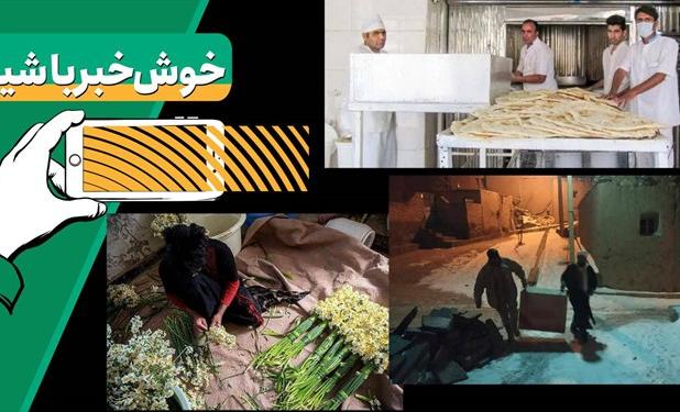 خبرخوب | زندگی خالی نیست، مهربانی هست/ روایت نذر نانی که باقیات صالحات شد