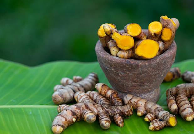 از کشت گلخانه‌ای زردچوبه و زنجبیل تا میوه‌های استوایی در کبودراهنگ