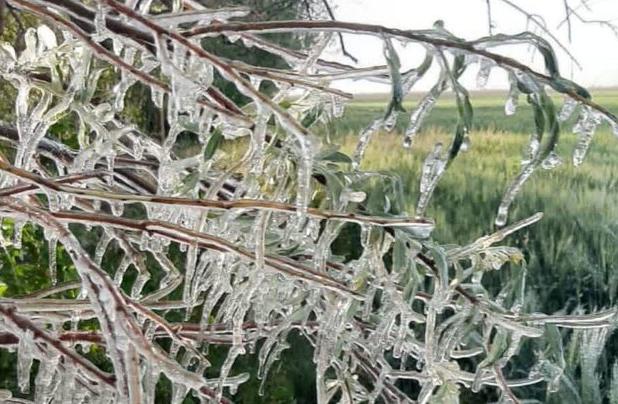 هشدار نارنجی هواشناسی در کهگیلویه و بویراحمد؛سردی زمستان به اوج می‌رسد