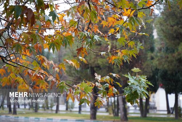 حکمی: هفته پربارشی برای خراسان رضوی پیش بینی شده است