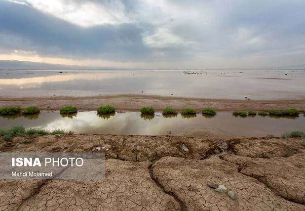 تالاب‌های قزوین؛ از فریاد خشکسالی تا نجوای امید