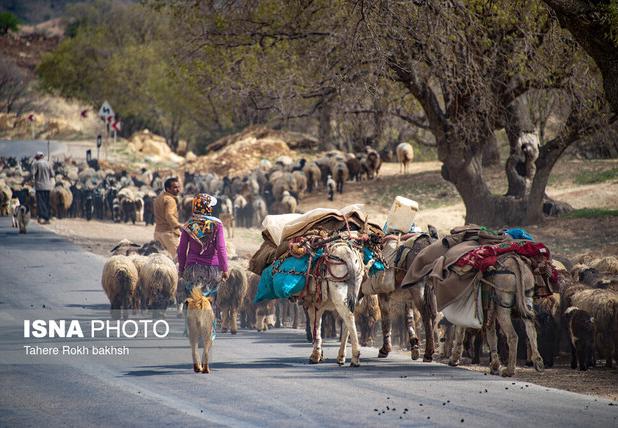 اصلاح و بازگشایی ۳۰ کیلومتر مسیر عشایری در ایذه
