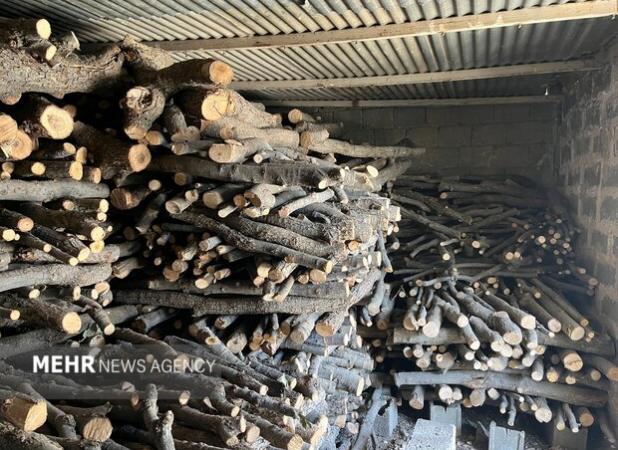 قاچاقچی حرفه‌ای چوب در گلوگاه دستگیر شد