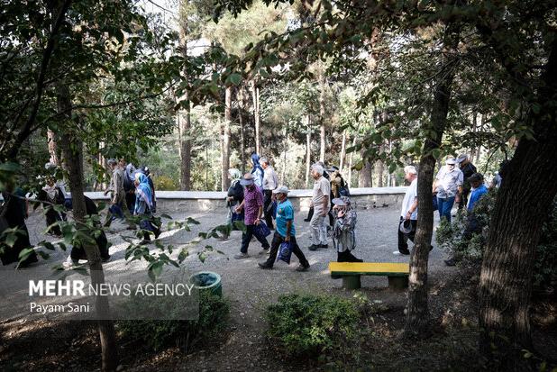 «گامیران» طرحی برای سلامت مردم ایران/پیاده‌روی که برای شما پول می‌آورد