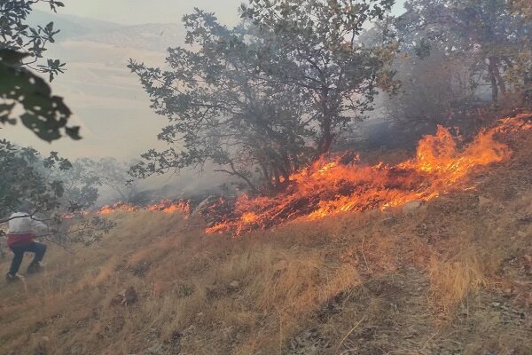 اطفای حریق آتش سوزی جنگل‌های اسلام آبادغرب