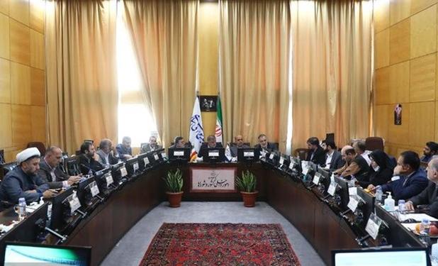 جزئیات طرح تشکل‌های اجتماعی در کمیسیون شوراهای مجلس بررسی شد