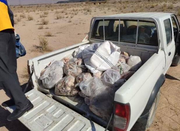 دادستان زرند: ۱۲۰۰ کیلوگرم گوشت فاسد در زرند معدوم سازی شد