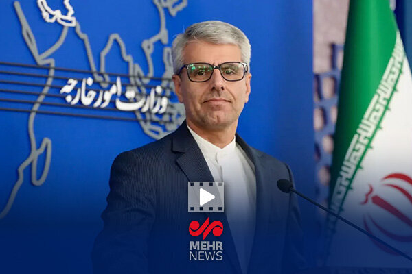 بقایی: از اقدامات فرانسه متعجب شدیم