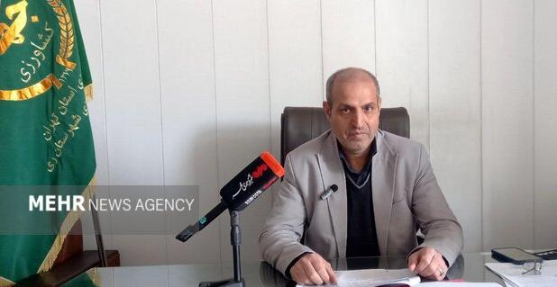 ۴۰ درصد گندم مزارع ری برداشت شد؛افزایش کیفیت محصولات سال جاری