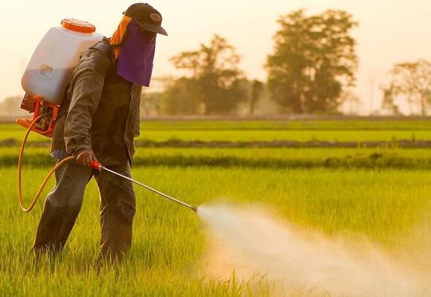 کاهش مصرف سموم و کنترل آفات در خراسان شمالی