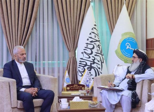 سفر وزیر بهداشت حکومت طالبان به ایران