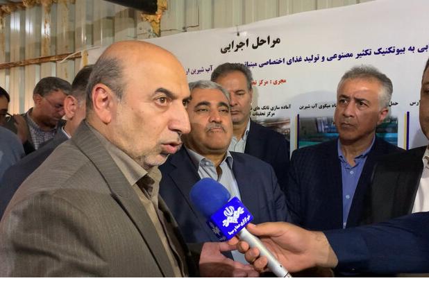مزرعه پرورش تولید شاه میگو در آذربایجان غربی به ۵۰۰ هکتار می رسد