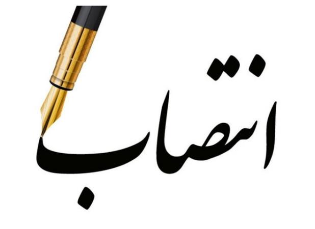 سرپرست معاونت حمل‌ونقل وزارت راه و شهرسازی منصوب شد