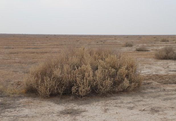 ۱۳۰ هزار هکتار از اراضی منابع طبیعی قزوین به محیط‌زیست سپرده شد