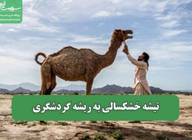 تیشه خشکسالی به ریشه گردشگری