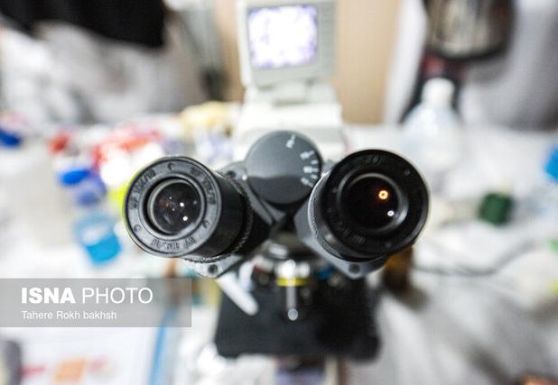 مهد عرفان ایران میزبان علم‌دوستان