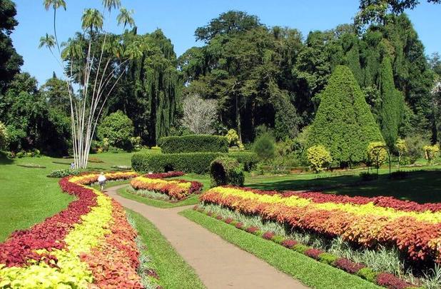 خزان باغ گیاه‌شناسی ایران با بلندمرتبه سازی جوار آن