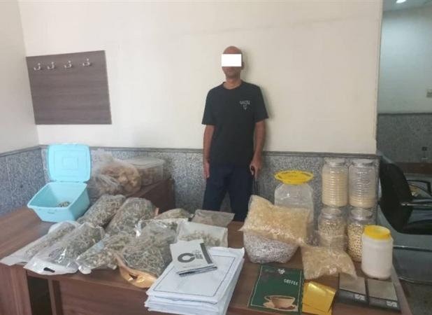 دستگیری موادفروشی با ۲۰۰۰فالوئر در اینستاگرام/ کشف ۱۷کیلو قارچ سمی توهم‌زا
