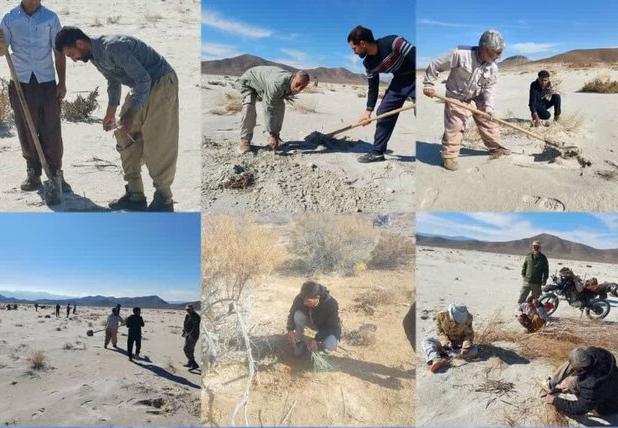 هم‌افزایی برای مهار ریزگردها در تالاب‌های طشک و بختگان فارس