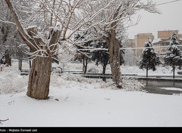 هواشناسی ایران۱۴۰۳/۱۱/۸؛بارش شدید برف و باران در ۱۰ استان