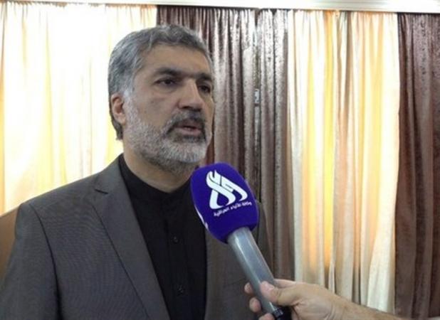 سرکنسول ایران: ۵۰۷ موکب شناسنامه‌دار ایرانی در نجف خدمت‌رسانی می‌کنند
