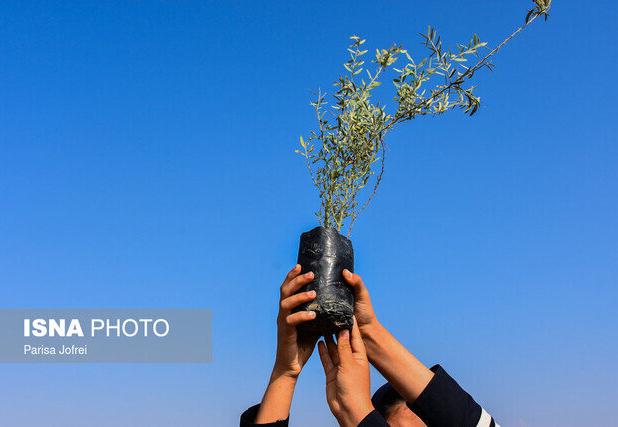 کاشت بالغ بر ۱۰۰۰ اصله نهال در گیلان به نیت حاج قاسم