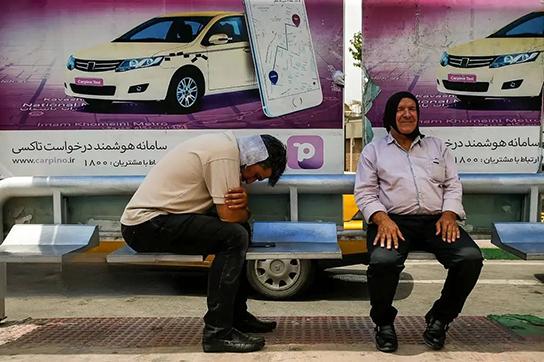 آقای حافظ و سعدی، کچل‌ها در حال تصرف شهر شما هستند