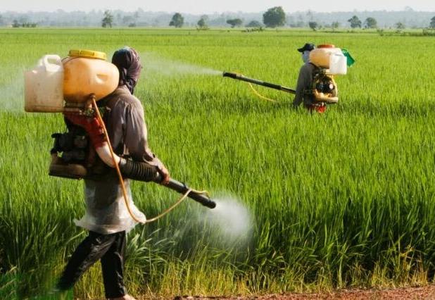 صیانت از حقوق مصرف‌کنندگان و جلوگیری از آلودگی‌آب و خاک با مقابله با کود و آفت‌کش‌های تقلبی