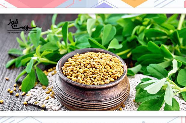 از خواص دمنوش شنبلیله چه می دانید؟