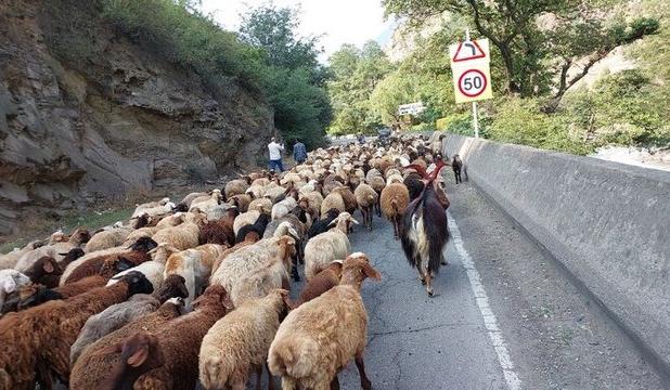 جاده چالوس مسدود است