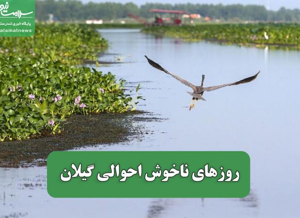 روزهای ناخوش احوالی گیلان