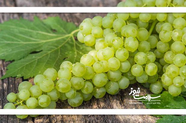 خواص انگور که از آن بی اطلاع هستید؟