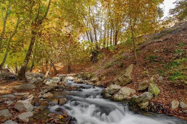جشنواره عکاسی «ردپای پائیز» در صحنه برگزار می‌شود