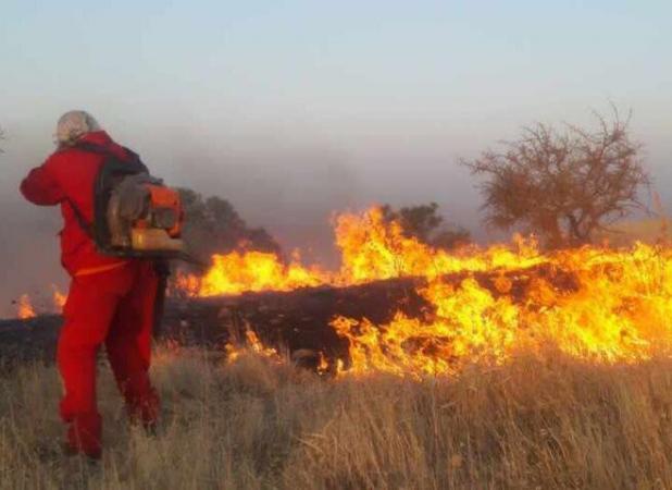 جنگل‌های منطقه «خامی» شهرستان گچساران در آتش می سوزد
