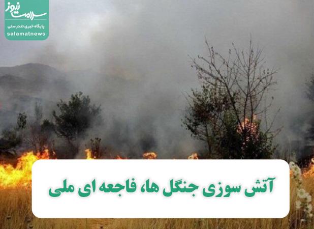 آتش سوزی جنگل ها، فاجعه ای ملی