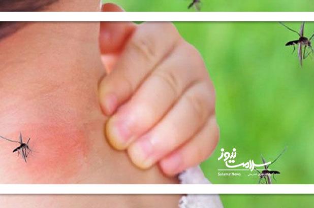 بهترین راهکار برای دفع پشه