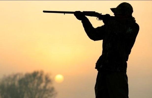 دستگیری شکارچی متخلف در حاجی‌آباد