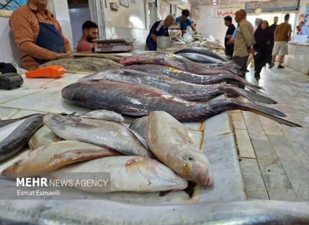 عرضه آبزیان حرام گوشت در فارس خلاف شرع و غیرقانونی است