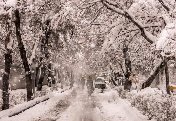 سخنگوی شرکت برق مشهد: قطعی برق گسترده در سطح شهر نداریم